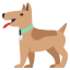 :dog2: