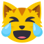 :joy_cat:
