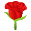 :rose: