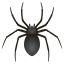 :spider: