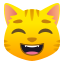 :smile_cat: