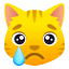 :crying_cat_face: