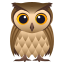 :owl:
